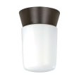 8-in Utility Ceiling Mount w  White Glass Cylinder Bronzotic Finish For Discount