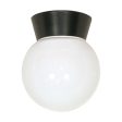 8-in Utility Ceiling Mount w  White Glass Globe Bronzotic Finish Online now