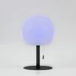 Adeline Radiant Sphere, Metal LED Table Lamp - Black, White PE Plastic Shade, 310mm High, PL0237 Discount